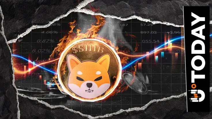 1,000,002 SHIB Burned in Hours, Yet SHIB Burn Rate Drops 32.29%