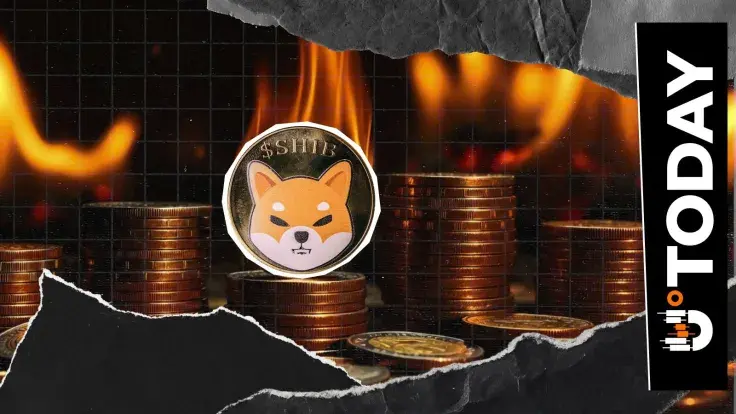 Shiba Inu Burn Rate Rockets 500% in Rare Upside for Price