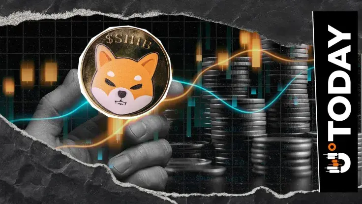 SHIB Dev Drops Surprising Analogy as Shiba Inu Community Awaits Fresh Update