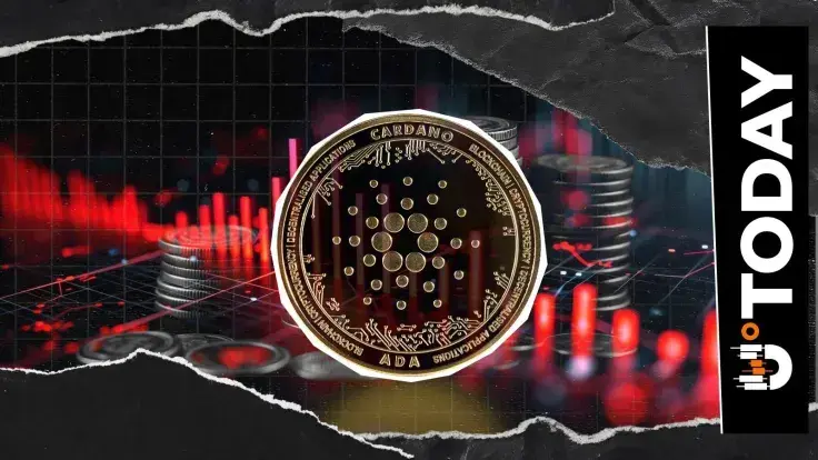 'New Cardano' Decouples From Privacy Coin Rally, Price Falls 7%