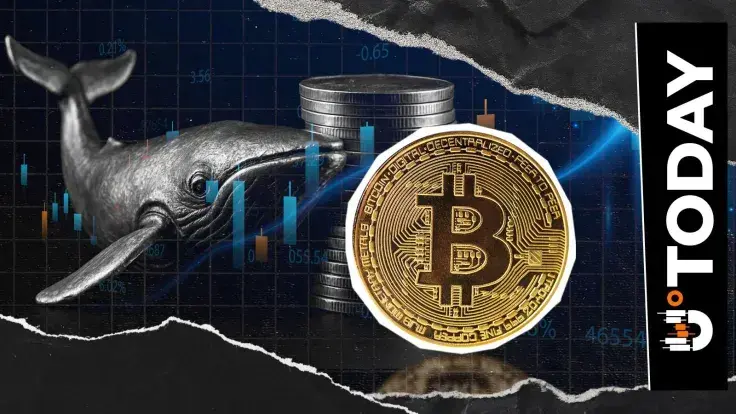 Satoshi-Era Bitcoin Whales Slow Down Selling, What's Going On?
