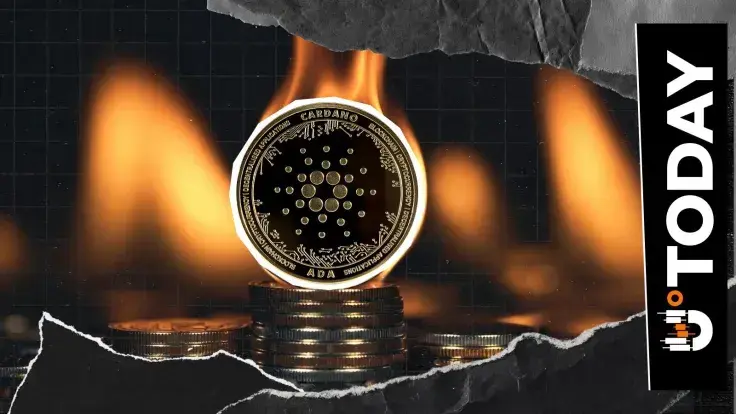 'Cardano on Fire': Five Major Moves Fuel Bullish 2026 Outlook
