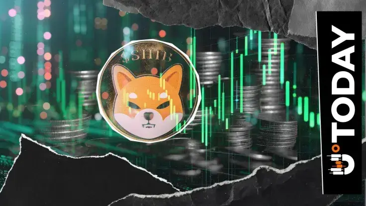 Shiba Inu (SHIB) Key Price Reset: Big Chance for Recovery