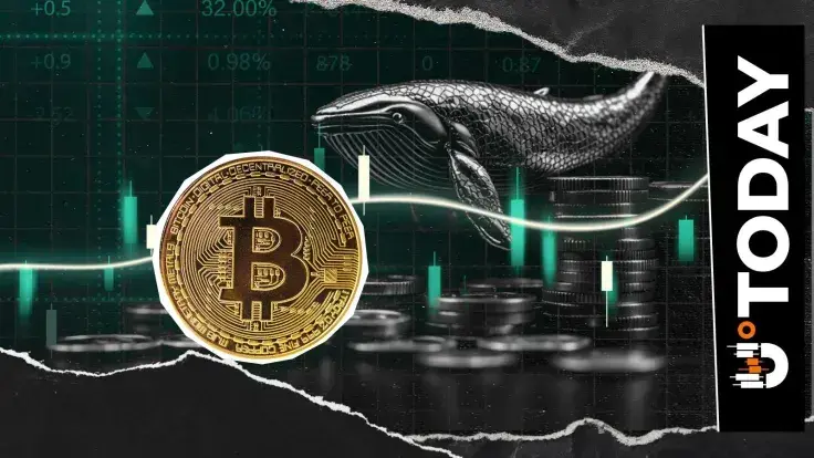 Satoshi-Era Whale Who Bought Bitcoin Under $7 Goes Online With 1,390,000% Profit