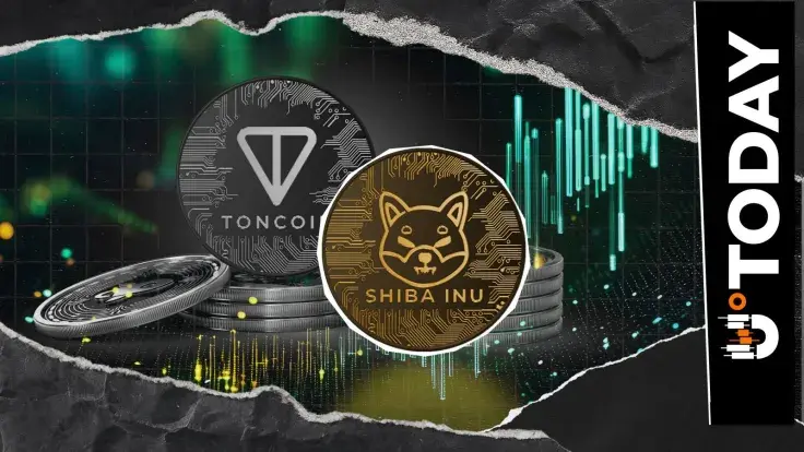 Shiba Inu Flips Toncoin as Price Rockets 11%
