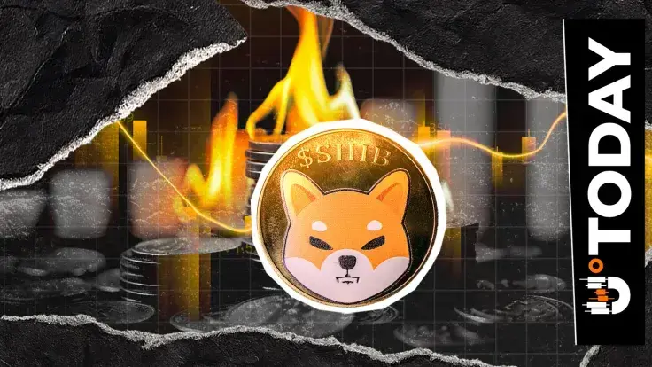 Close to 200,000,000 SHIB Turns Into Ash With 535% Surge