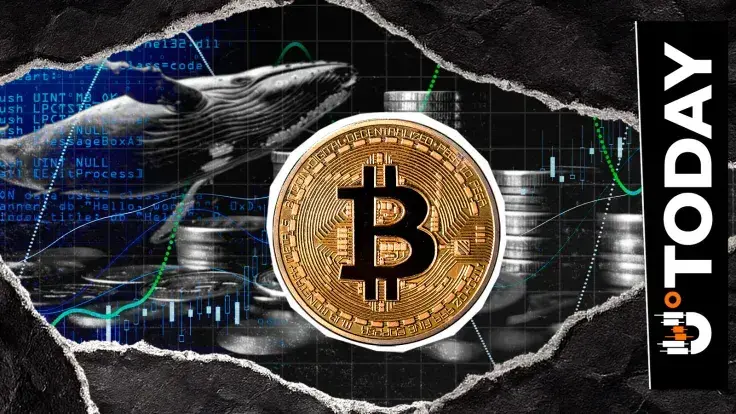 Satoshi-Era Whale Wakes Up to Move 2,000 BTC