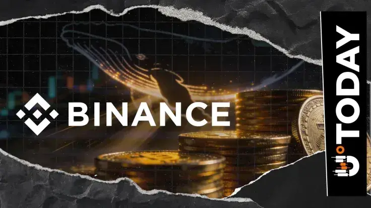 Binance Sees Major Investor Sentiment Shift: Biggest Whale Inflows Since 2024