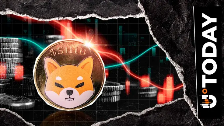 -207,000,000,000 Shiba Inu (SHIB) in 24 Hours, But It's Getting Better on Exchanges