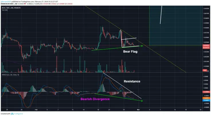 Bitcoin Cash Price 2019: $300 BCH Value Is Possible! To Buy or Not to Buy BCH Right Now?