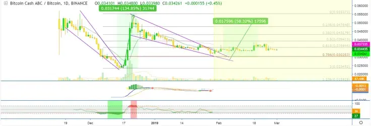 Bitcoin Cash Price 2019: $300 BCH Value Is Possible! To Buy or Not to Buy BCH Right Now?