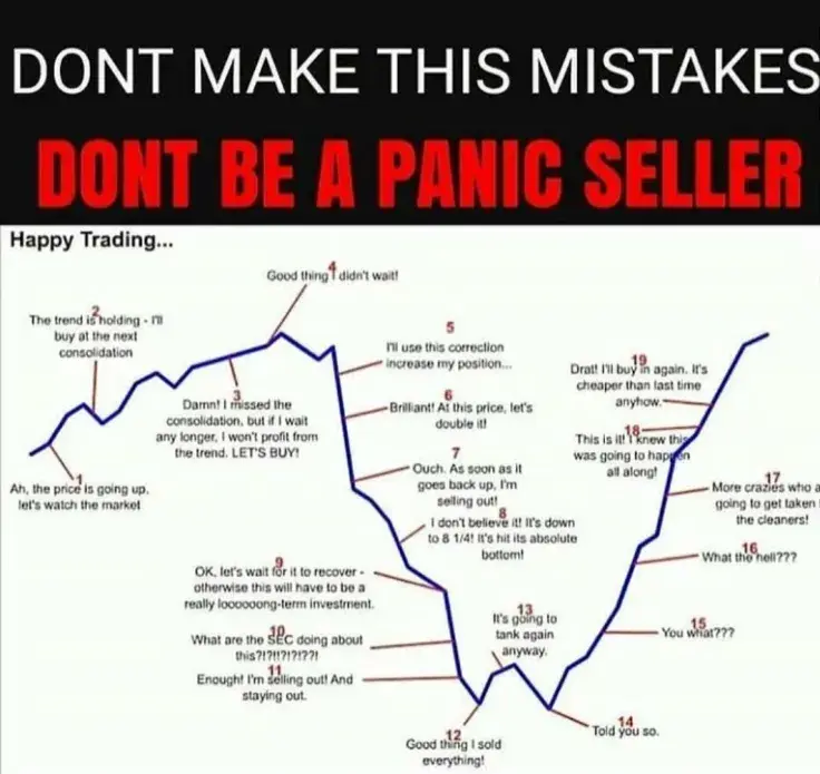 Typical behavior of panic sellers