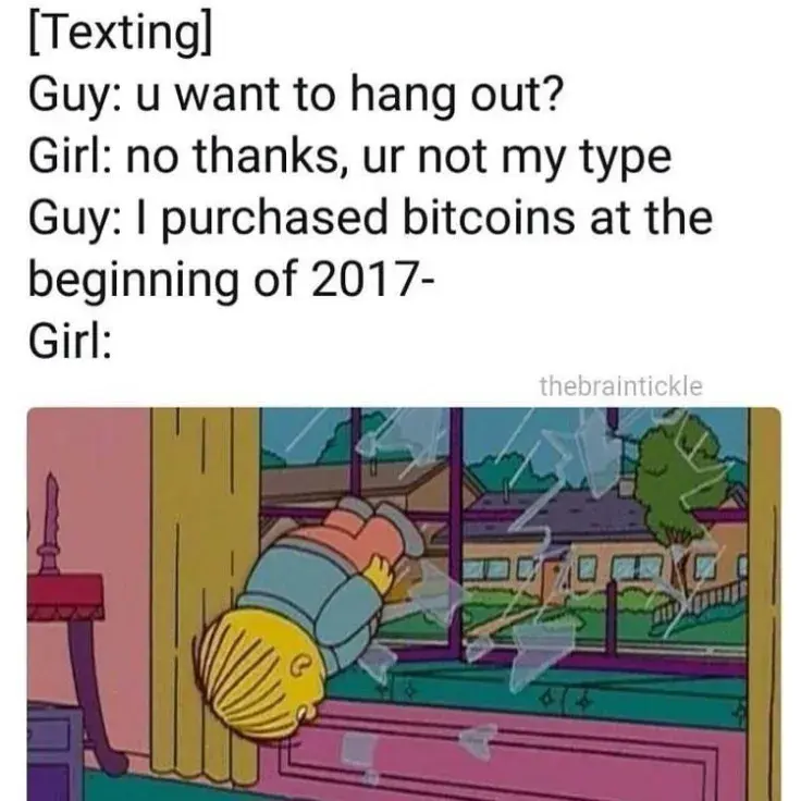 Bitcoins purchased in 2017