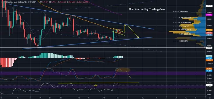 [FEB 14] BTC/USD Bitcoin Price Analysis: Bitcoin Loses in Price on Good News?