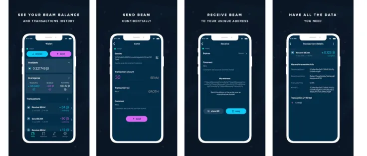 Struggling BSV price