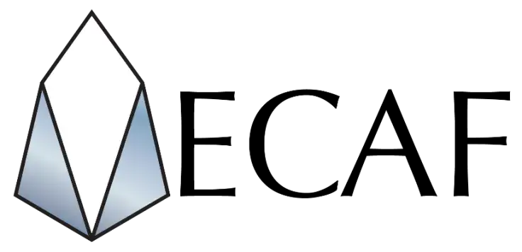 Scammers Steal EOS Funds Via Fake Telos Foundation Website  