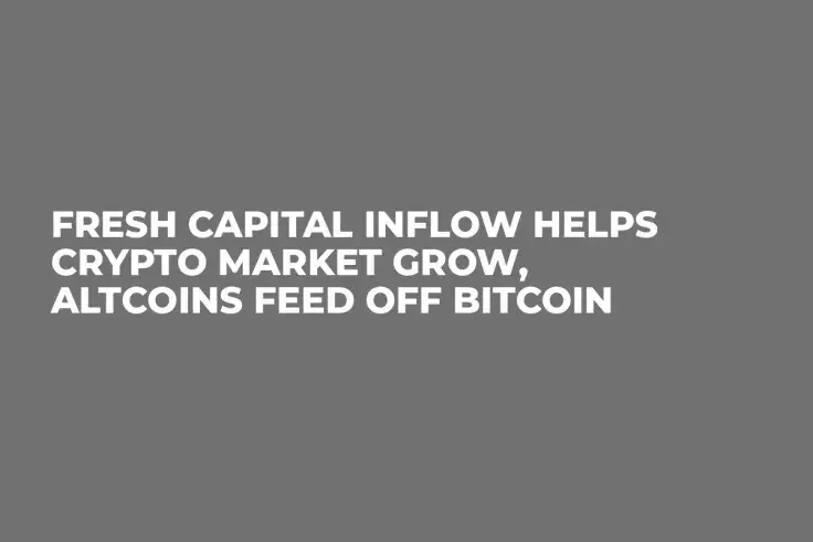 Fresh Capital Inflow Helps Crypto Market Grow, Altcoins Feed Off Bitcoin