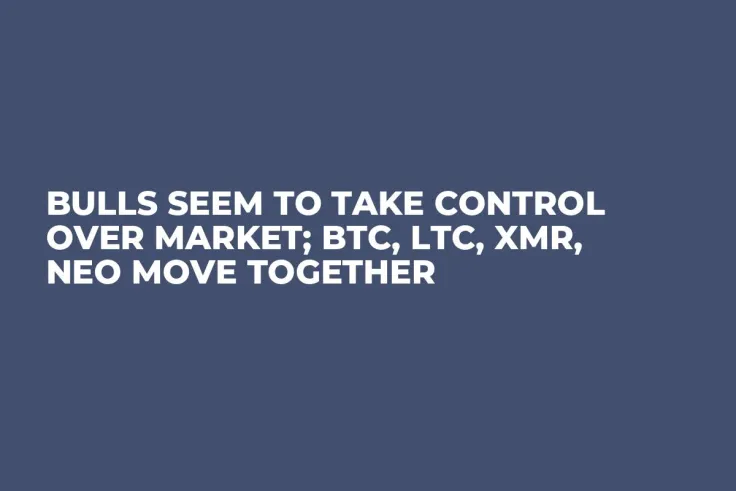 Bulls Seem to Take Control Over Market; BTC, LTC, XMR, NEO Move Together