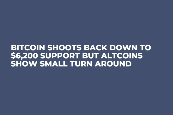 Bitcoin Shoots Back Down to $6,200 Support But Altcoins Show Small Turn Around