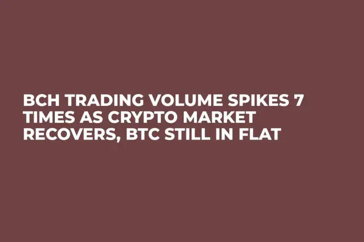 BCH Trading Volume Spikes 7 Times As Crypto Market Recovers, BTC Still in Flat