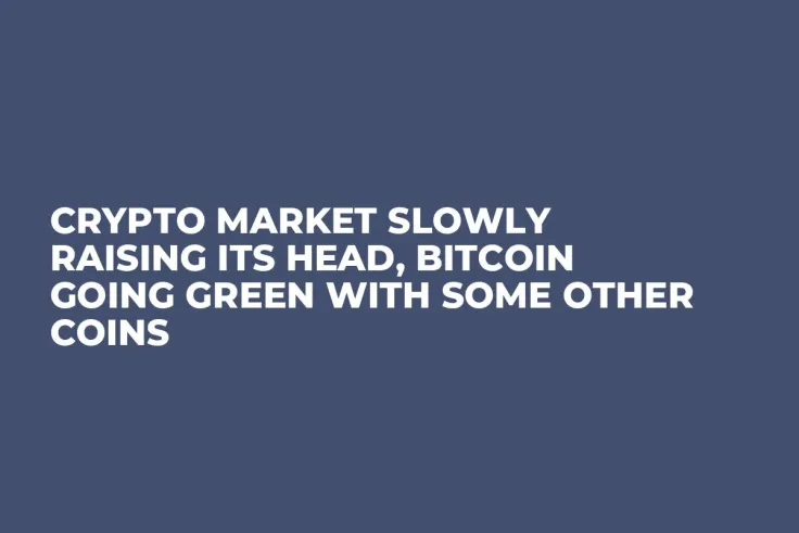 Crypto Market Slowly Raising Its Head, Bitcoin Going Green With Some Other Coins