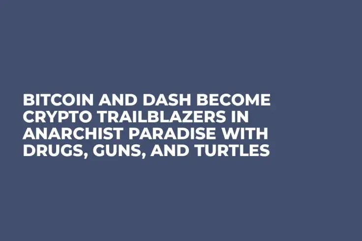 Bitcoin and Dash Become Crypto Trailblazers in Anarchist Paradise with Drugs, Guns, and Turtles  