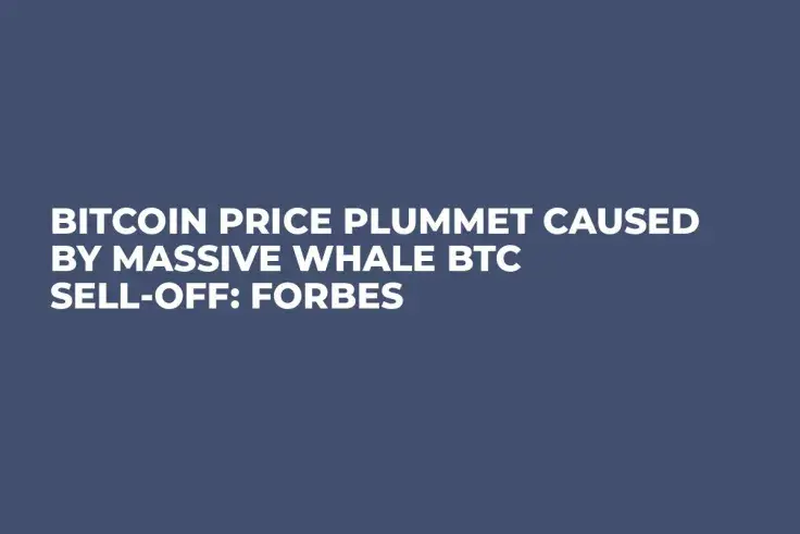 Bitcoin Price Plummet Caused by Massive Whale BTC Sell-Off: Forbes