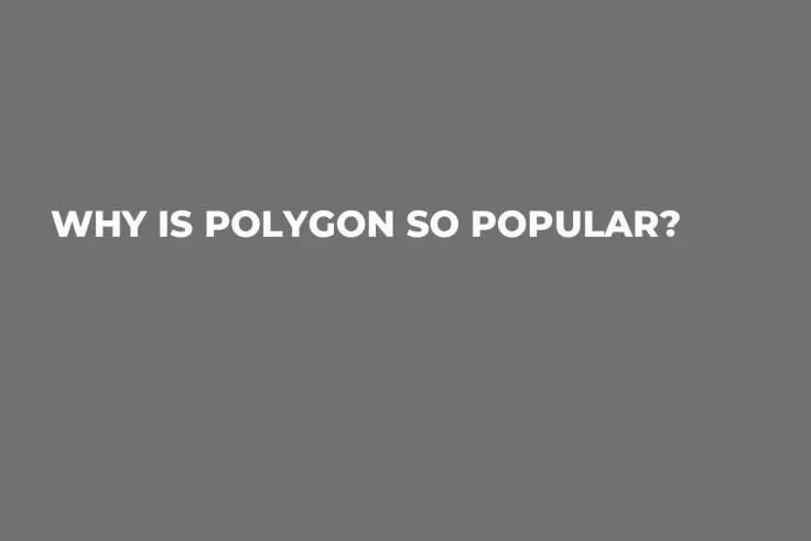 Why is Polygon so Popular?