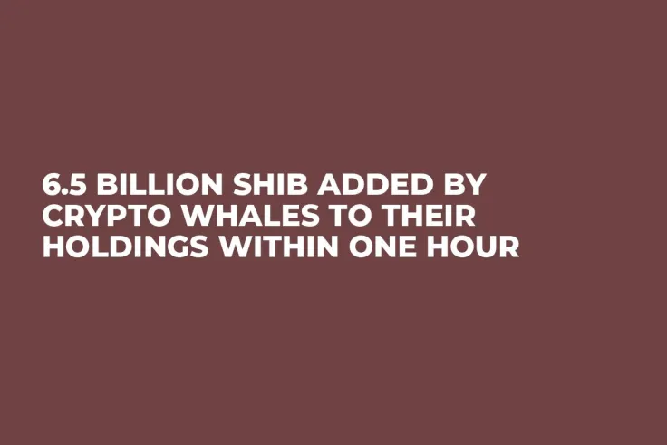 6.5 Billion SHIB Added by Crypto Whales to Their Holdings Within One Hour