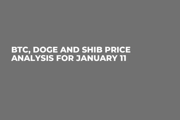 BTC, DOGE and SHIB Price Analysis for January 11