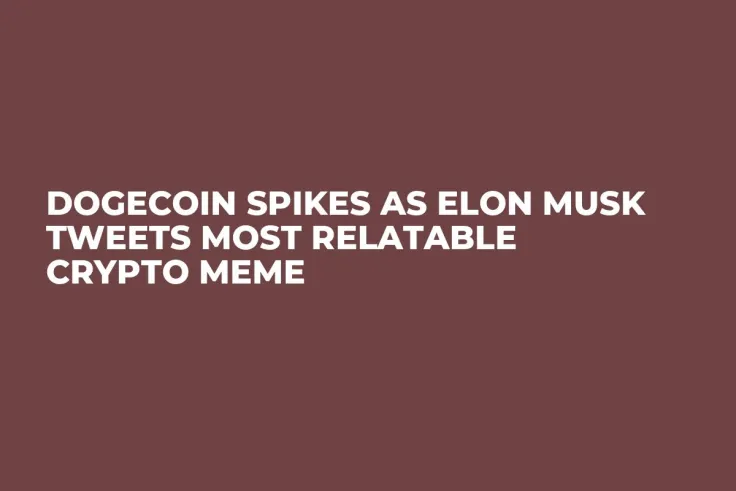 Dogecoin Spikes as Elon Musk Tweets Most Relatable Crypto Meme