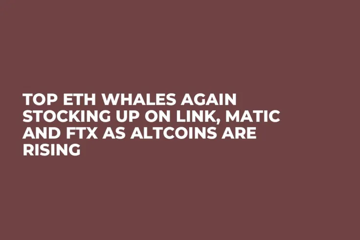 Top ETH Whales Again Stocking Up on LINK, MATIC and FTX as Altcoins Are Rising