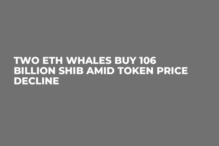 Two ETH Whales Buy 106 Billion SHIB Amid Token Price Decline