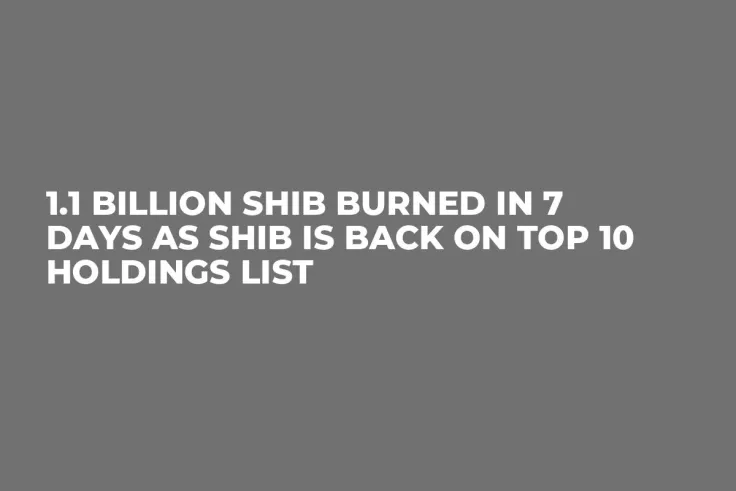 1.1 Billion SHIB Burned in 7 Days as SHIB Is Back on Top 10 Holdings List