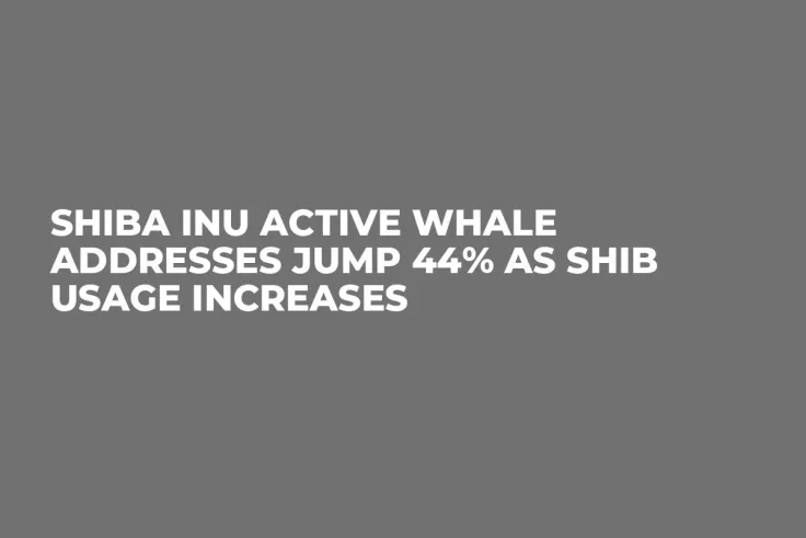 Shiba Inu Active Whale Addresses Jump 44% as SHIB Usage Increases