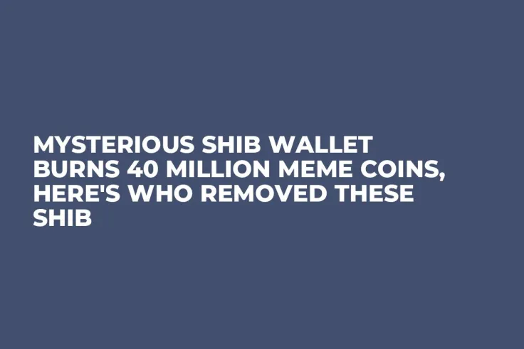 Mysterious SHIB Wallet Burns 40 Million Meme Coins, Here's Who Removed These SHIB