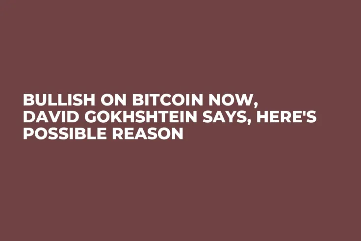 Bullish on Bitcoin Now, David Gokhshtein Says, Here's Possible Reason
