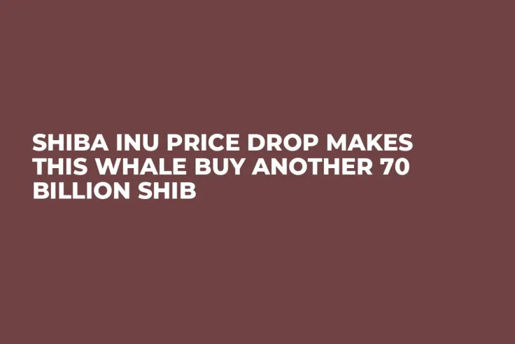 Shiba Inu Price Drop Makes This Whale Buy Another 70 Billion SHIB