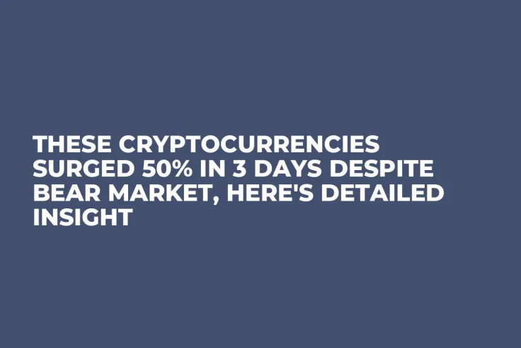 These Cryptocurrencies Surged 50% in 3 Days Despite Bear Market, Here's Detailed Insight