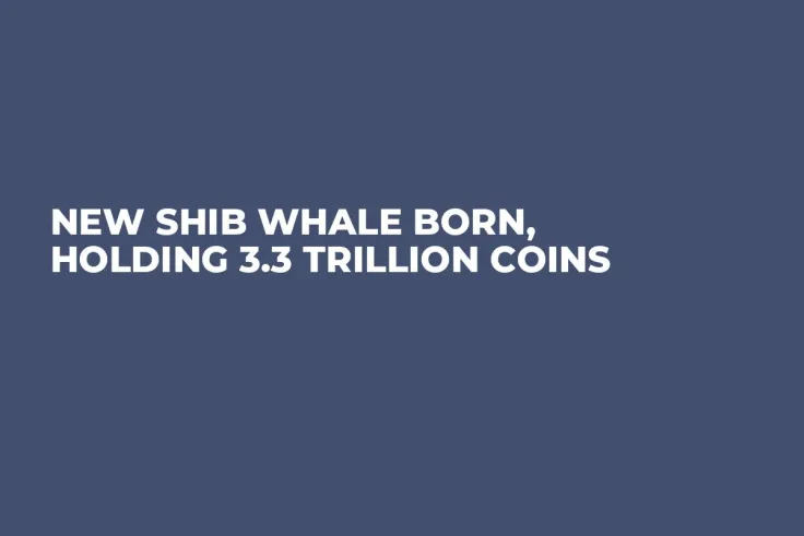 New SHIB Whale Born, Holding 3.3 Trillion Coins