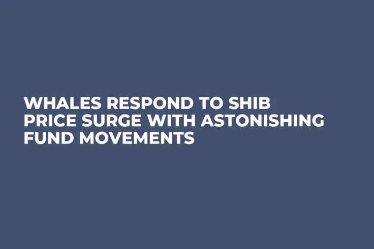 Whales Respond to SHIB Price Surge with Astonishing Fund Movements