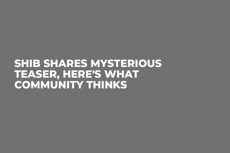 SHIB Shares Mysterious Teaser, Here's What Community Thinks