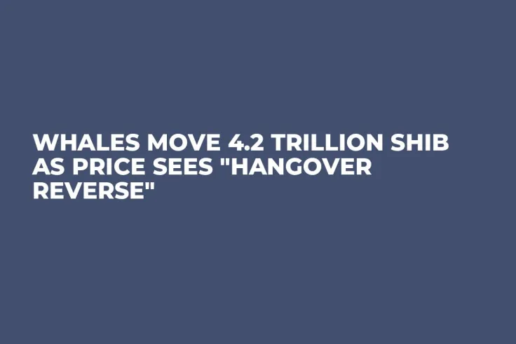 Whales Move 4.2 Trillion SHIB as Price Sees "Hangover Reverse"