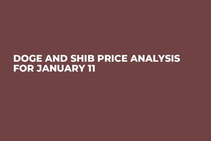 DOGE and SHIB Price Analysis for January 11