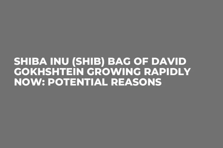 Shiba Inu (SHIB) Bag of David Gokhshtein Growing Rapidly Now: Potential Reasons