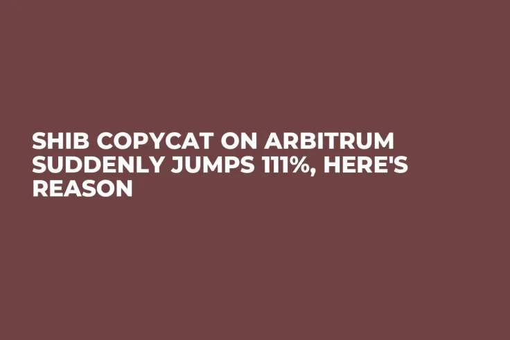 SHIB Copycat on Arbitrum Suddenly Jumps 111%, Here's Reason