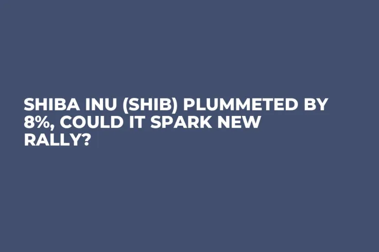 Shiba Inu (SHIB) Plummeted by 8%, Could It Spark New Rally?
