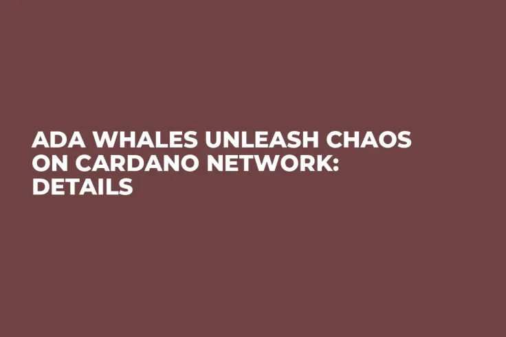 ADA Whales Unleash Chaos on Cardano Network: Details