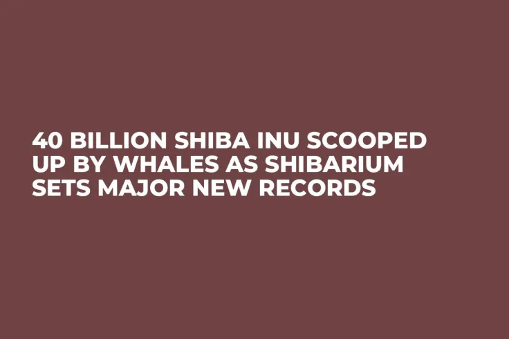 40 Billion Shiba Inu Scooped up by Whales as Shibarium Sets Major New Records