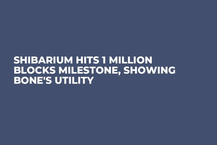 Shibarium Hits 1 Million Blocks Milestone, Showing BONE's Utility